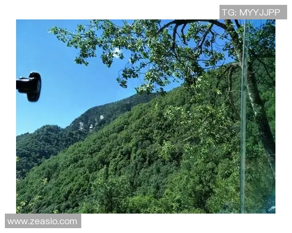 许钟豪的奋斗历程与成就启示我们追求梦想的勇气与坚持