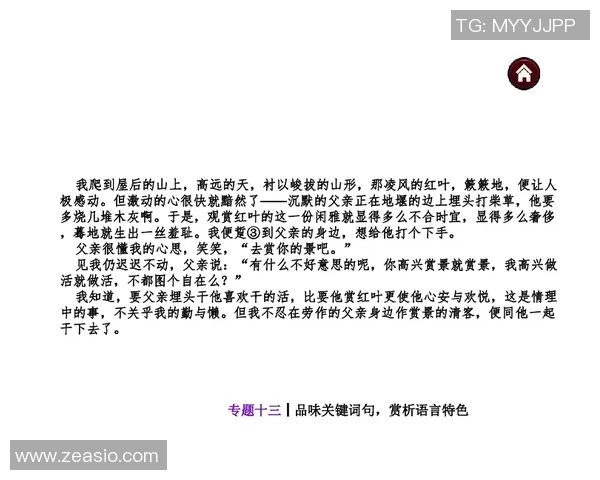 杭州攀岩队心理素质分析与提升策略研究报告