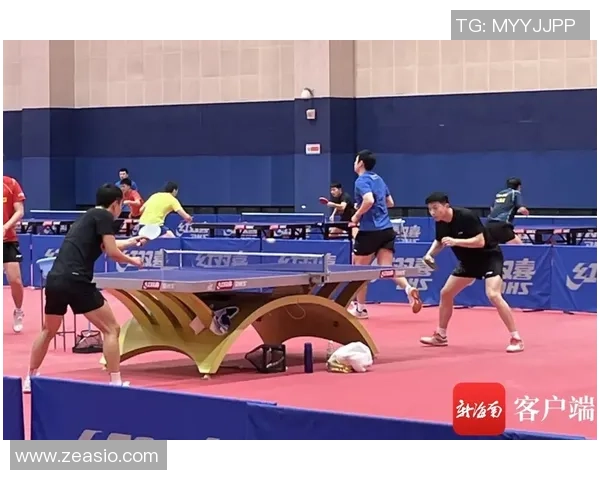 深圳乒乓球队防守革新之路探索与实践的深度分析与展望